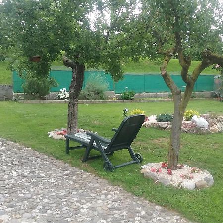 酷奥莱住宿加早餐旅馆 弗留利地区圣达尼埃莱 外观 照片